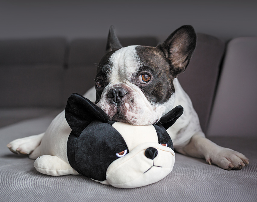 Календарь Трио  295*720мм на 2026г.  Близнецы