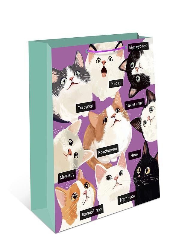 Пакет подар. бумажн. 26*32*12 см, 130гр/м2  Коты (мем)