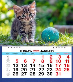 Календарь МАЛЫЙ  200*240мм на 2026г. Котенок с мячиком
