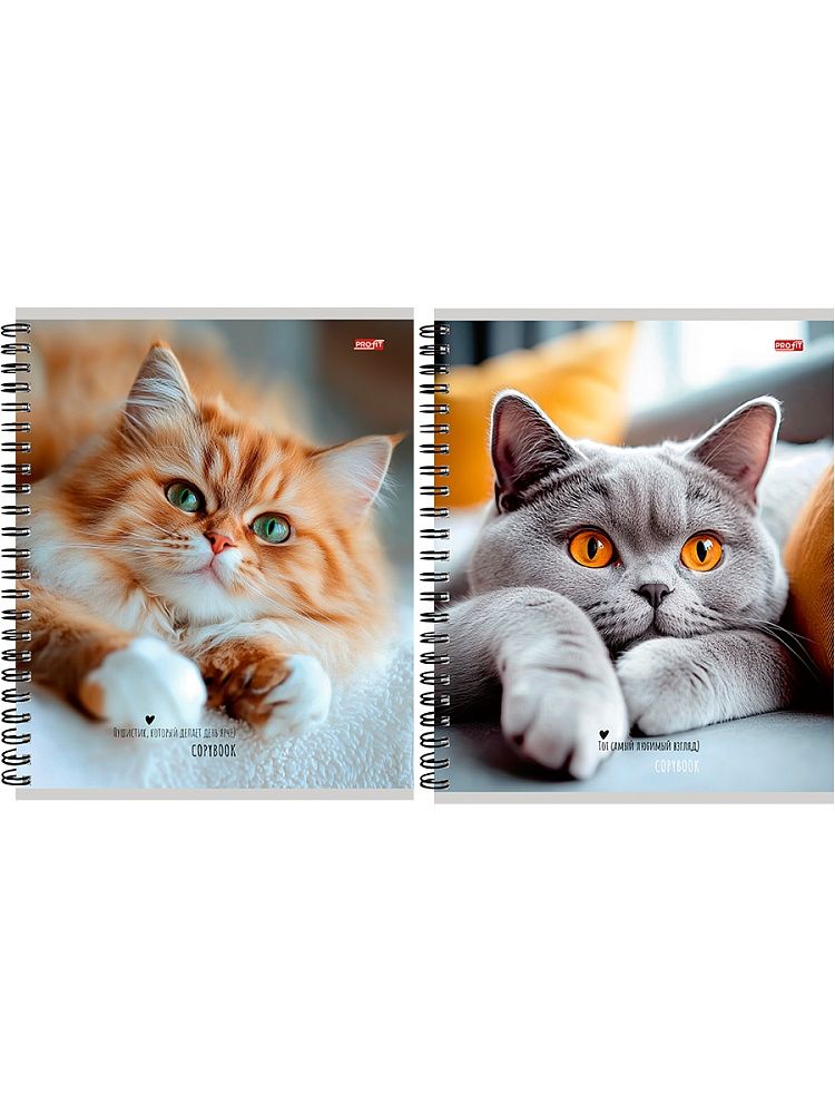 Тетрадь А5  48л кл. гребень Проф-Пресс "Милые коты - 1"