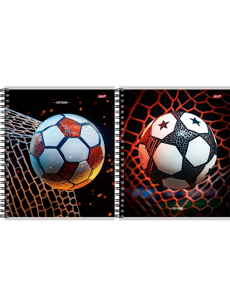 Тетрадь А5  48л кл. гребень Проф-Пресс "Разные футбольные мячи -10"