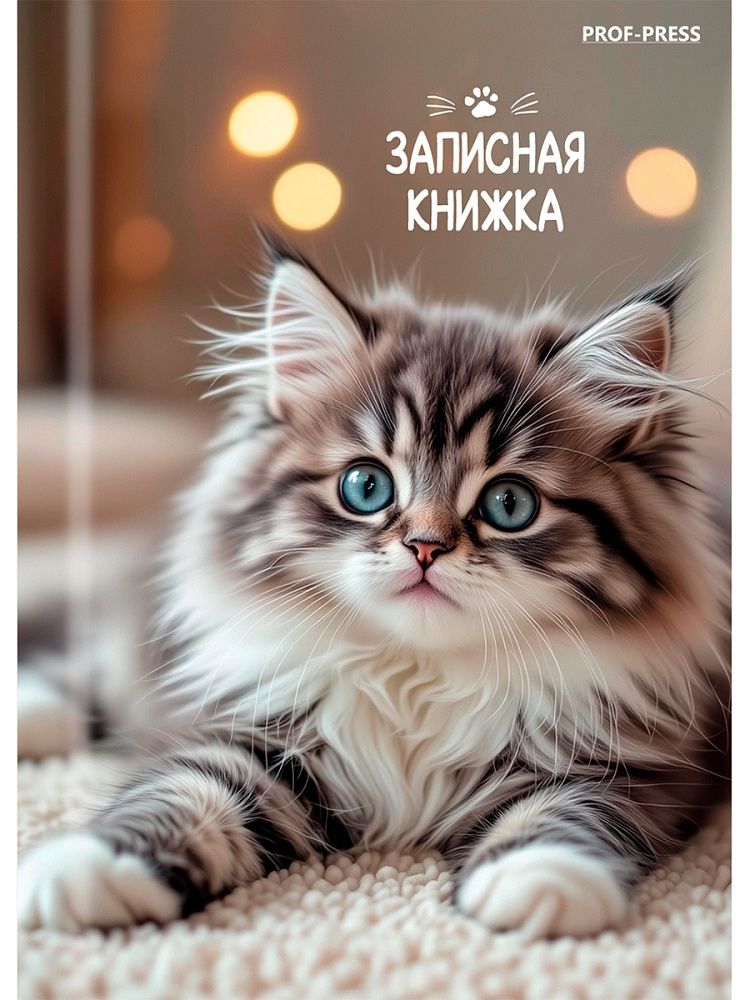 Блокнот А7 7БЦ  64л "Милые котята - 6" клетка, глянц.лам.