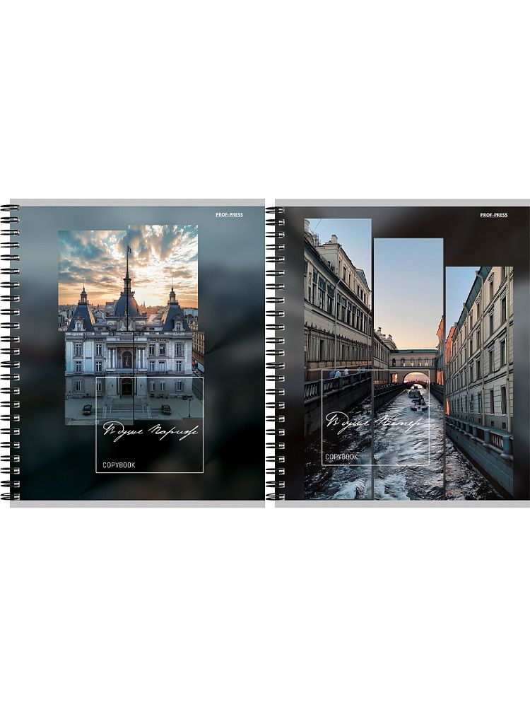 Тетрадь А5  48л кл. гребень Проф-Пресс "Красивая архитектура - 10"