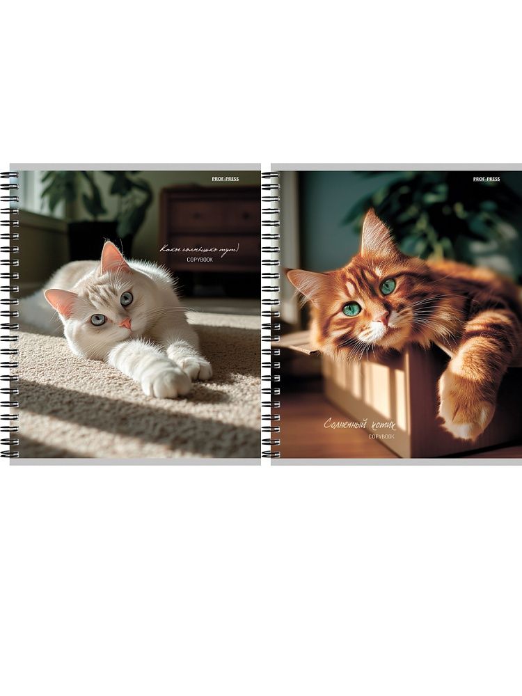 Тетрадь А5  48л кл. гребень Проф-Пресс "Милые коты - 2"
