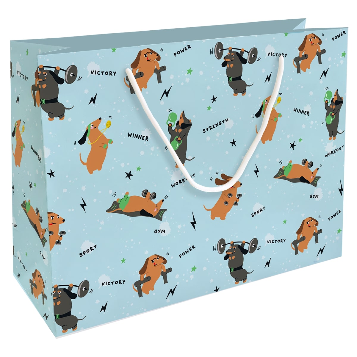 Пакет подар. бумажн. 36*26*12 см, 200гр/м2  Hobby. Голубой