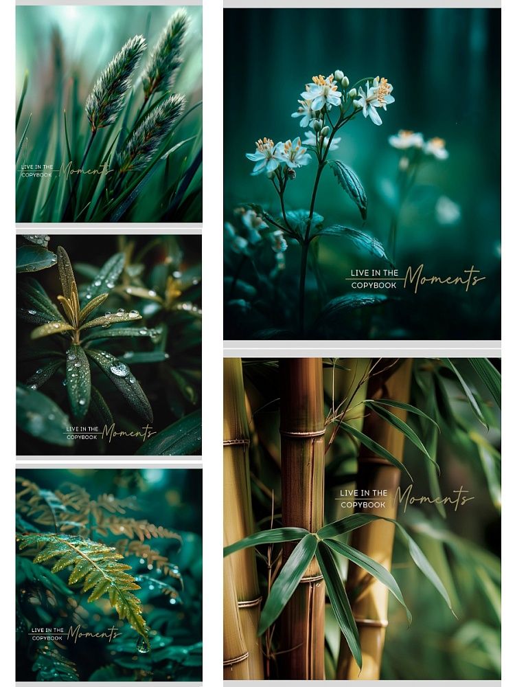 Тетрадь А5 48л кл. Проф-Пресс "Растительная тема" обл.мел.бум.