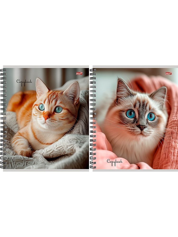 Тетрадь А5  80л кл. гребень Проф-Пресс "Уютные котики  - 1"