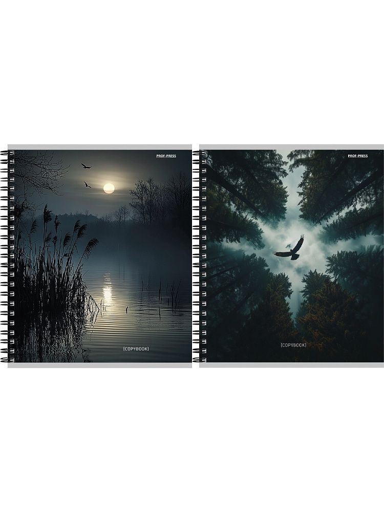 Тетрадь А5  48л кл. гребень Проф-Пресс "Завораживающие пейзажи - 2"