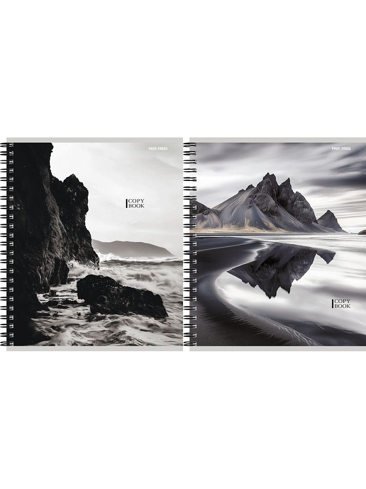 Тетрадь А5  48л кл. гребень Проф-Пресс "Завораживающие пейзажи - 3" двойная обложка