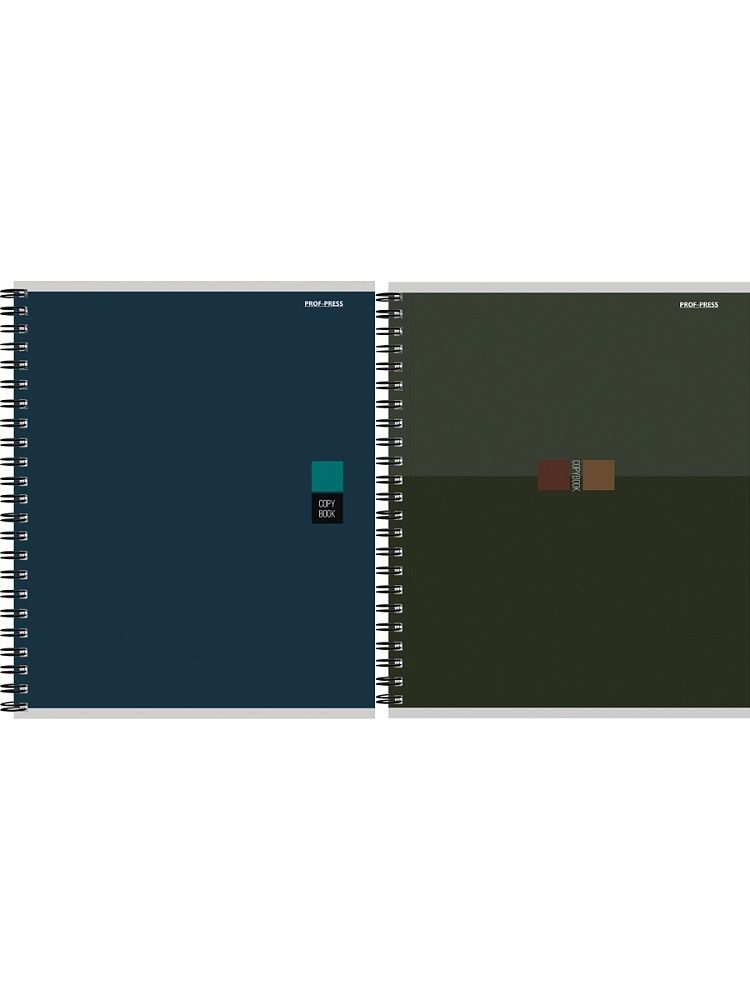 Тетрадь А5  48л кл. гребень Проф-Пресс "Минималистичный дизайн - 4" двойная обложка