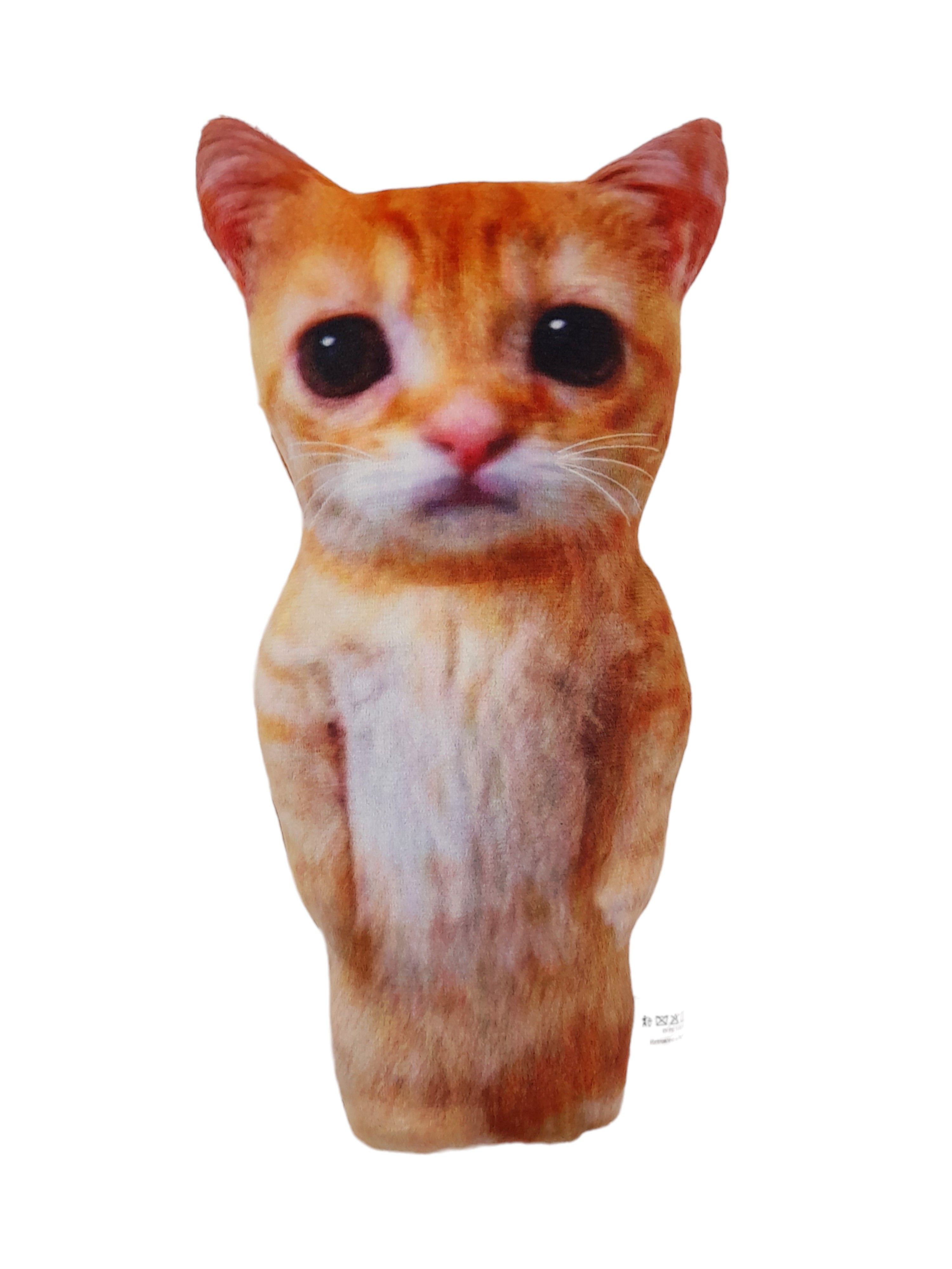 Мягкая игрушка 28см "Кот Мем"