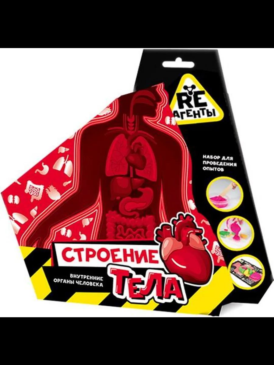 Набор для опытов Re-Агенты "Строение тела"