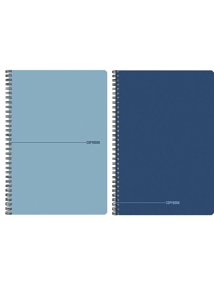 Тетрадь А4  96л кл. гребень Проф-Пресс "В синих тонах" тисн.