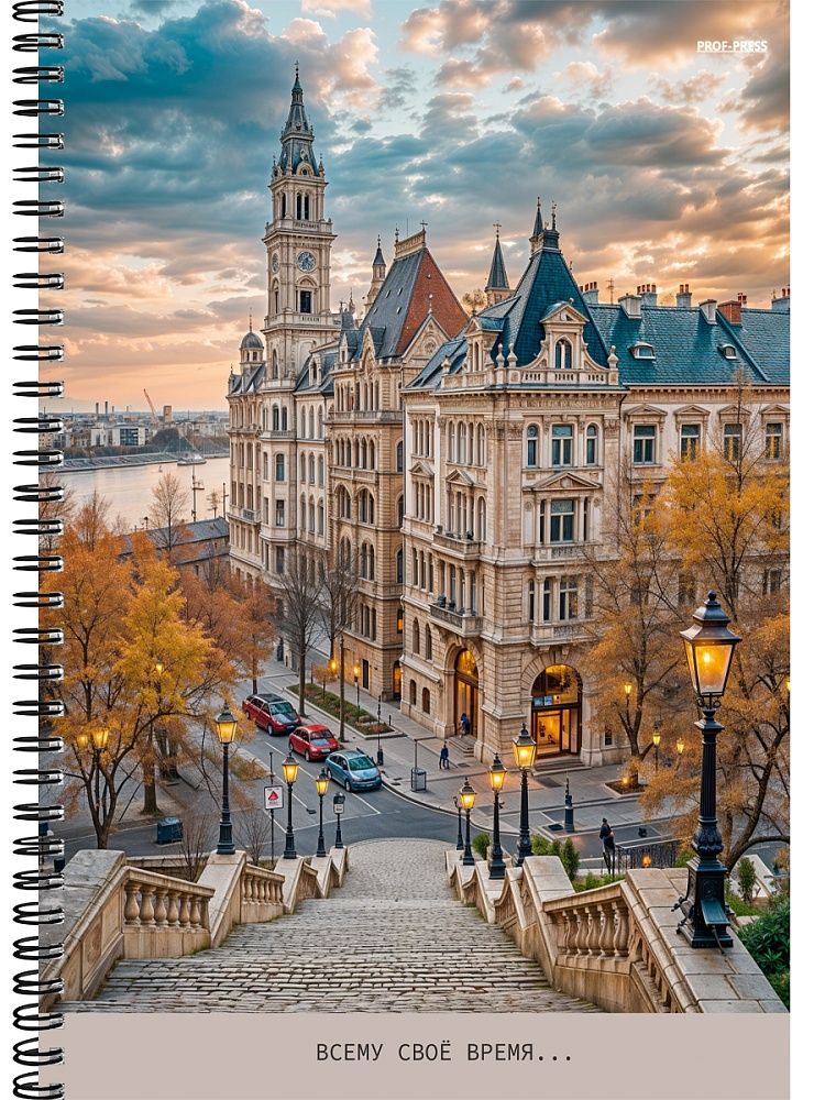 Тетрадь А4  96л кл. гребень Проф-Пресс "Красивый город - 5"