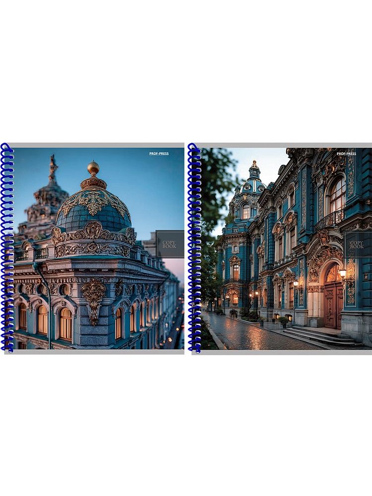 Тетрадь А5  48л кл. гребень Проф-Пресс "Городская архитектура"