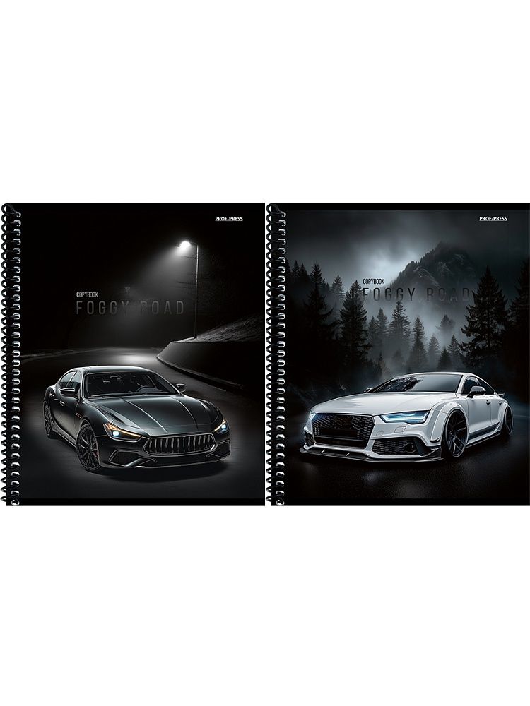 Тетрадь А5  48л кл. гребень Проф-Пресс "Туманная дорога"