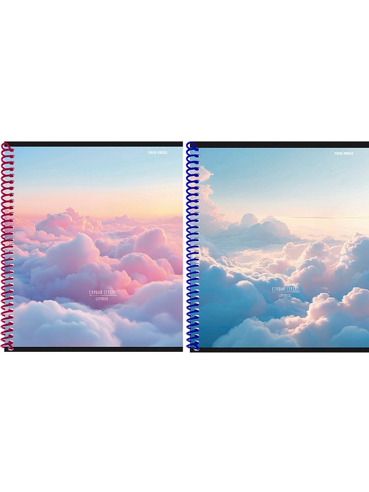 Тетрадь А5  48л кл. гребень Проф-Пресс "Полет над облаками" софт-тач