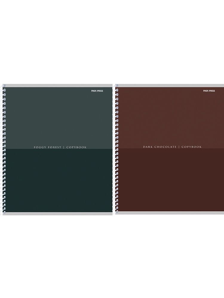 Тетрадь А5  96л кл. гребень Проф-Пресс "Минимализм в темных тонах - 1"