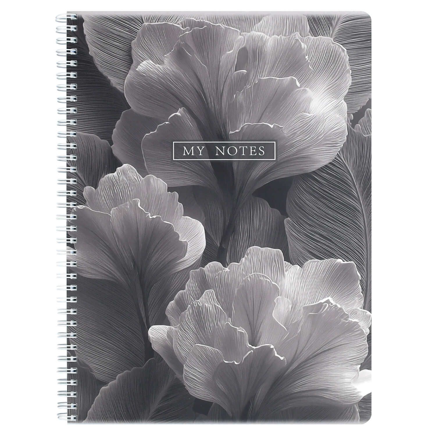 Тетрадь А4  96л кл. гребень Феникс+ "Лепестки" мат.лам.