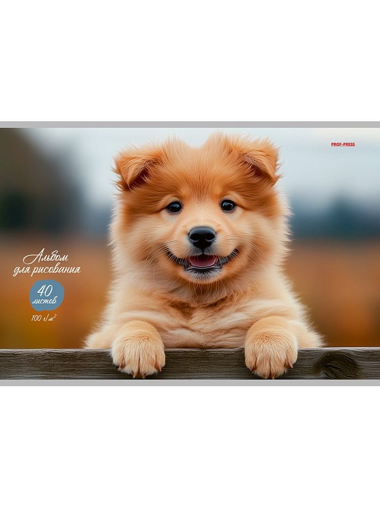 Альбом А4 40л скоба "Обаятельный песик - 1" пл. 100гр/м