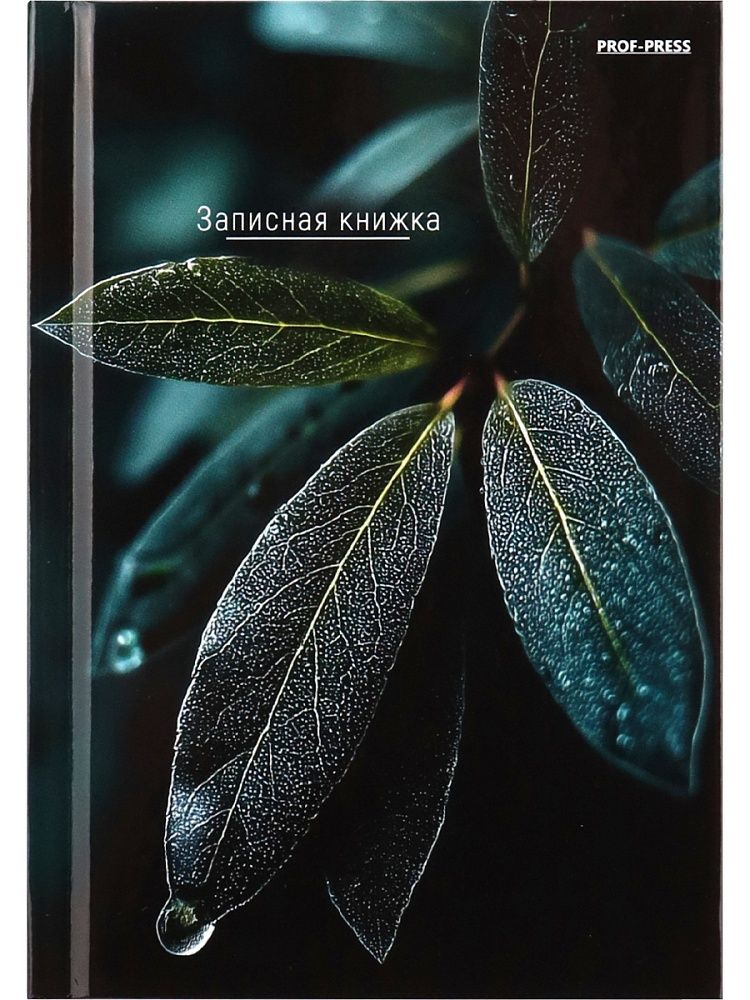 Блокнот А6 7БЦ 64л "Листья - 14" кл., глянц.лам.
