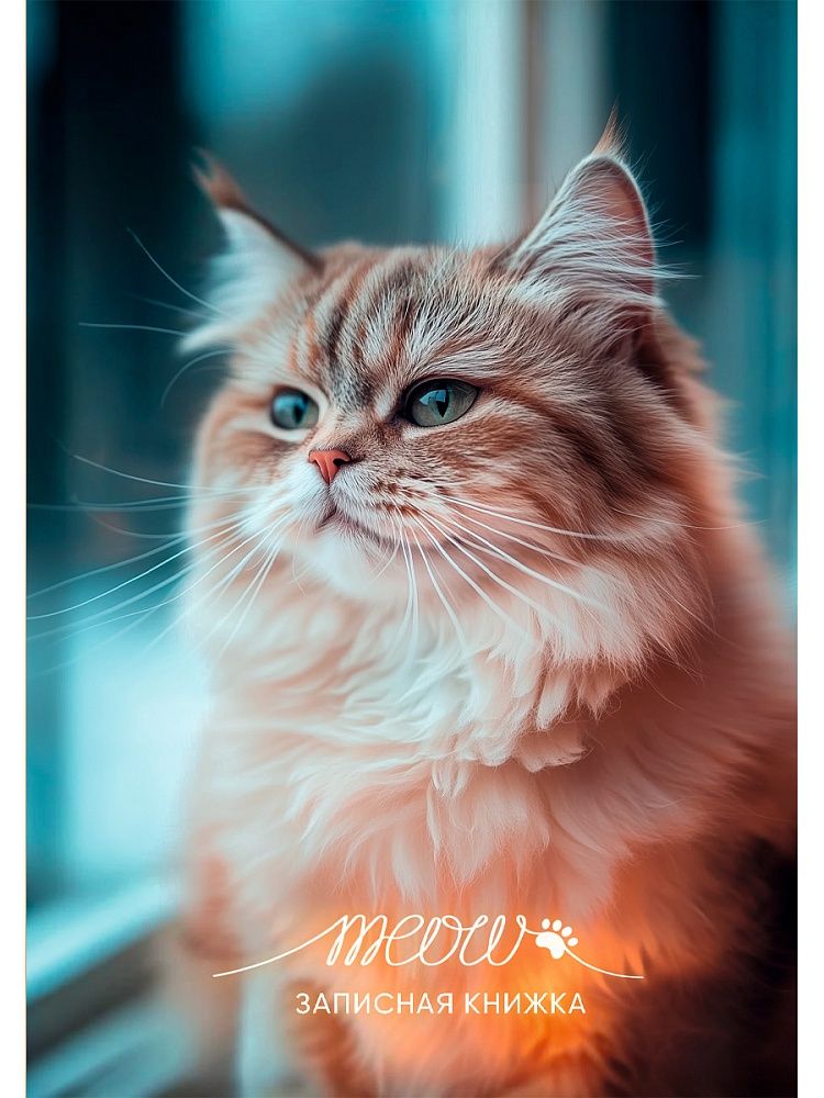 Блокнот А6 7БЦ  48л "Фото котика - 1" клетка, глянц.лам.