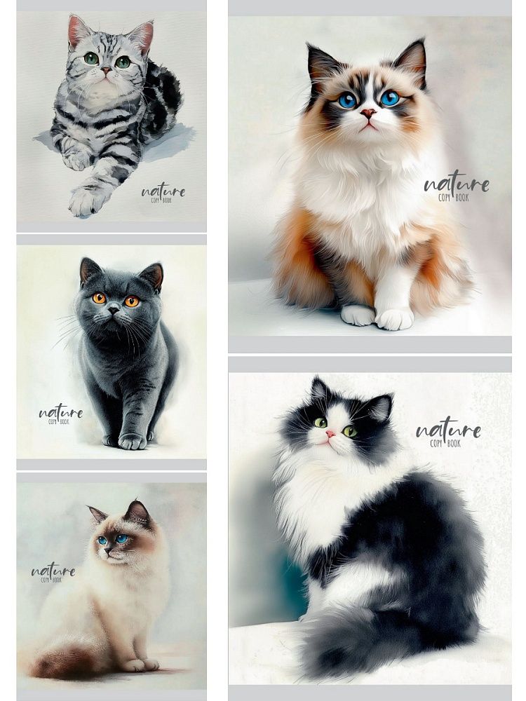 Тетрадь А5 48л ЛИН. Проф-Пресс "Красивые коты - 1"