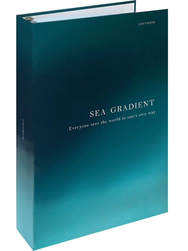 Тетрадь  А4 120л кл. на кольцах Проф-Пресс "Цвет и надпись - 1"