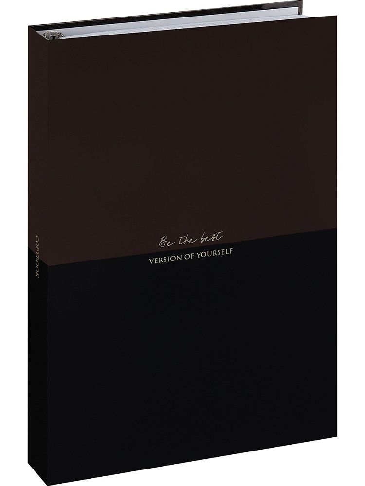 Тетрадь  А4 120л кл. на кольцах Проф-Пресс "Цвет и надпись - 2"