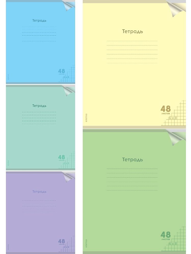 Тетрадь А5 48л кл. Проф-Пресс  пласт.обл. "Классика. Ассорти"