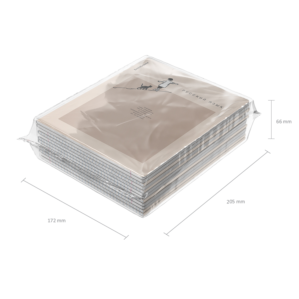 Комплект тетрадей общих ученических ErichKrause Study Buddy, 48 листов, клетка/линейка, со справочным материалом (пакет 12 шт.)