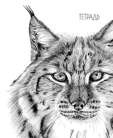 Тетрадь А5 40л кл. Апплика "Рысь"