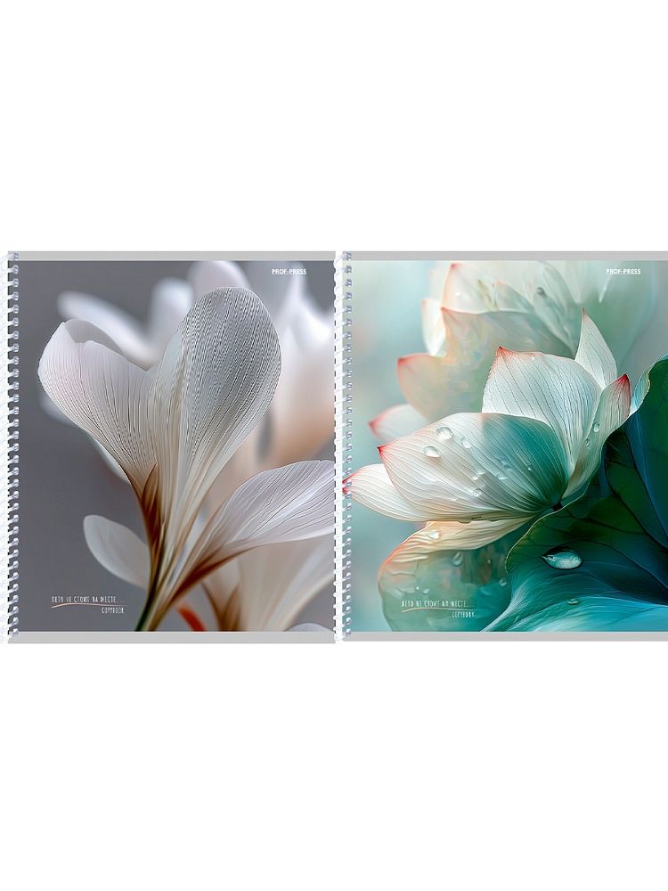 Тетрадь А5  96л кл. гребень Проф-Пресс "Белые цветы" софт-тач