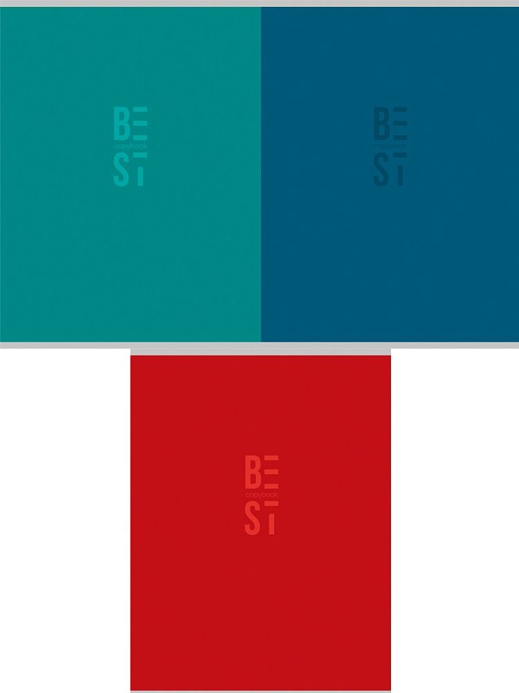 Тетрадь А4  96л кл. скоба Проф-Пресс "Однотонная классика - 2" тисн.холт, 3 диз.в блоке