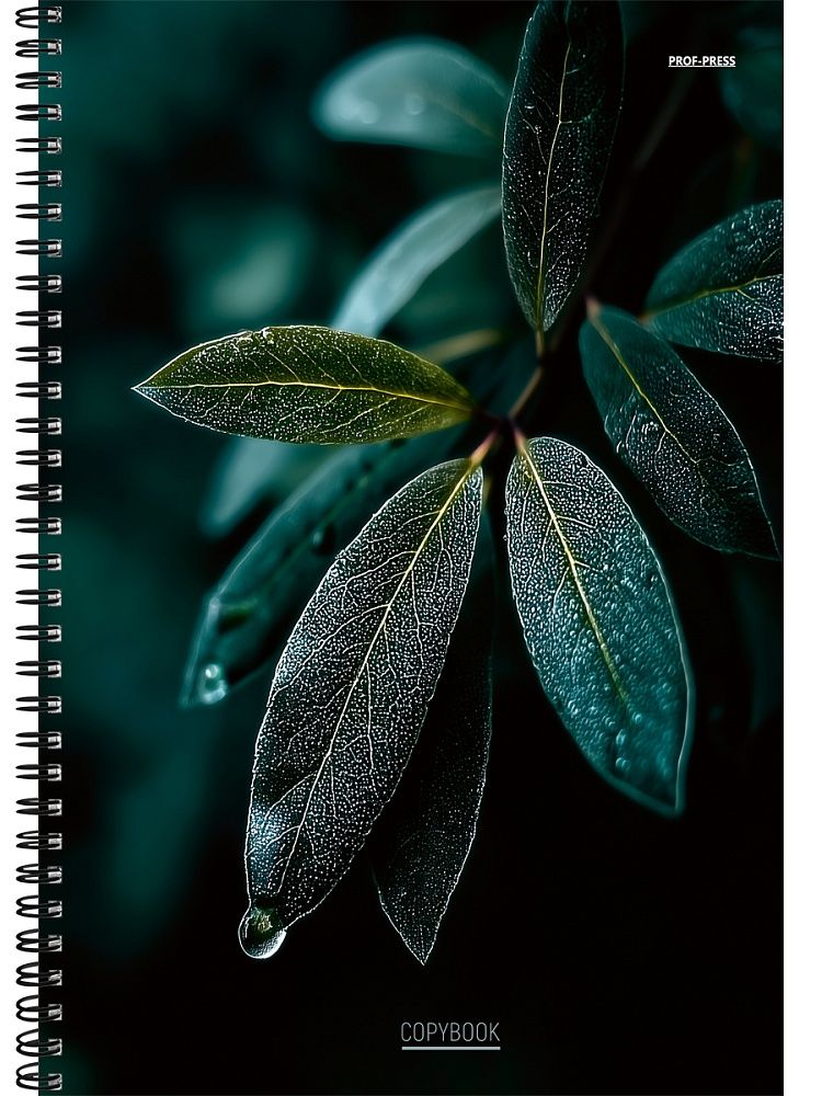 Тетрадь А4  96л кл. гребень Проф-Пресс "Роса" твин-лак