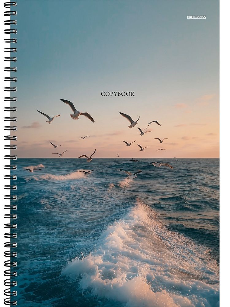 Тетрадь А4  96л кл. гребень Проф-Пресс "Чайки над морем" твин-лак