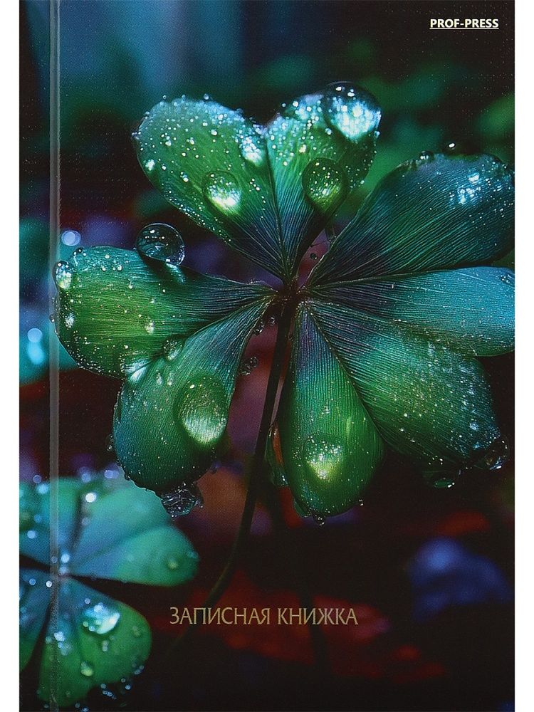 Блокнот А6 7БЦ  80л "Красивая природа - 6" кл., глянц.лам., лен