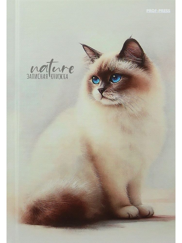 Блокнот А6 7БЦ  80л "Красивые коты - 2" кл., глянц.лам., лен