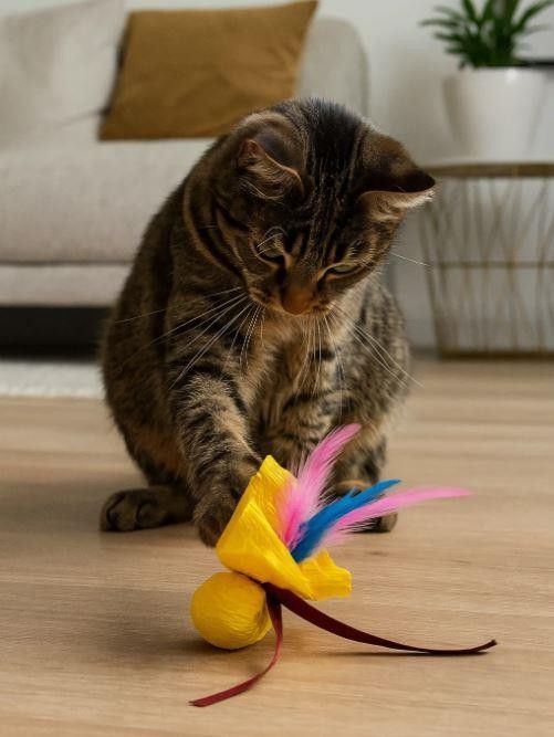 Игрушка для кошек "Шар шуршащий", желтый