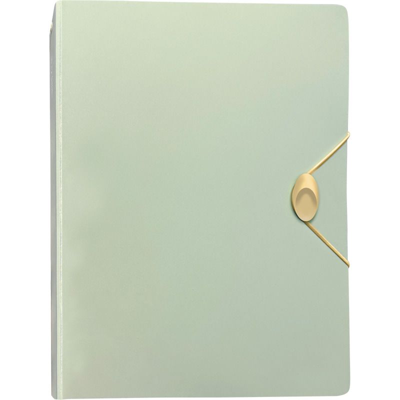 Папка Биндер А5, 4кольца, 25 вкладышей, с застежкой-резинкой, мятная