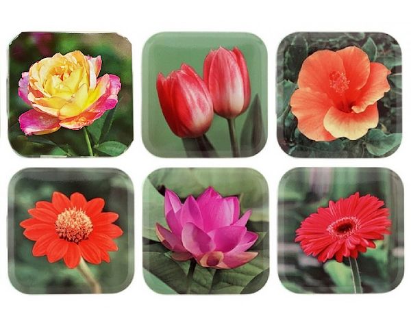 Монпансье Премиум "Цветы" 60г./уп.24шт./ ассорти