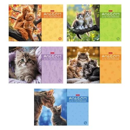 Альбом А4 16л скоба "МяУсы" пл. 100 гр/м, 5диз.в блоке