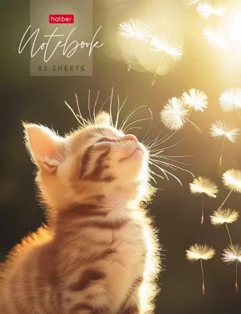 Блокнот А5 7БЦ  80л "Солнечный котик" кл., 5цв.блок, глянц. лам.