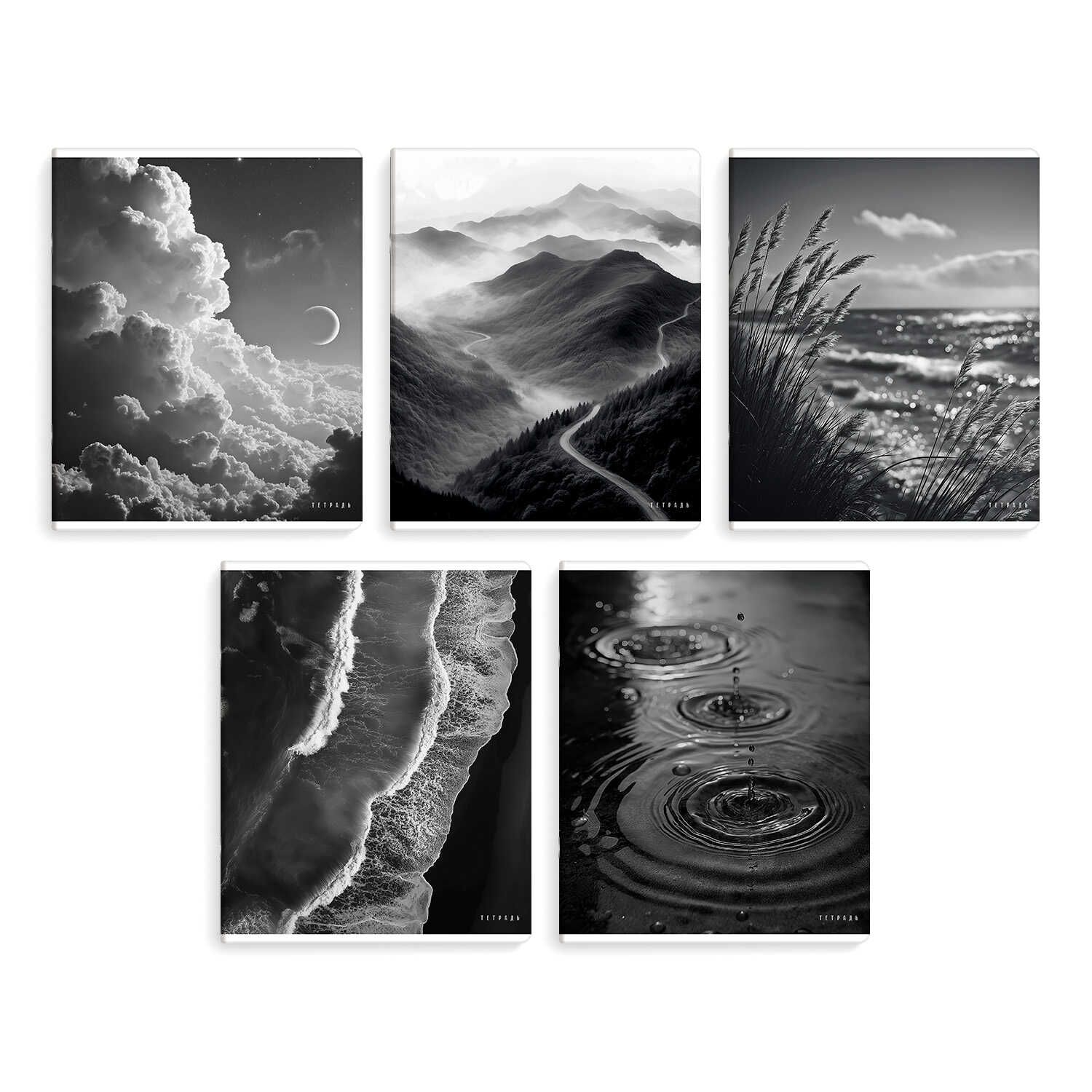 Тетрадь А5  96л кл. Феникс+ "Сила природы" мат.лам.