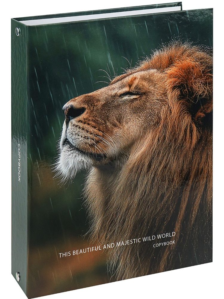 Тетрадь  А5 100л кл. на кольцах Проф-Пресс "Лев под дождём"