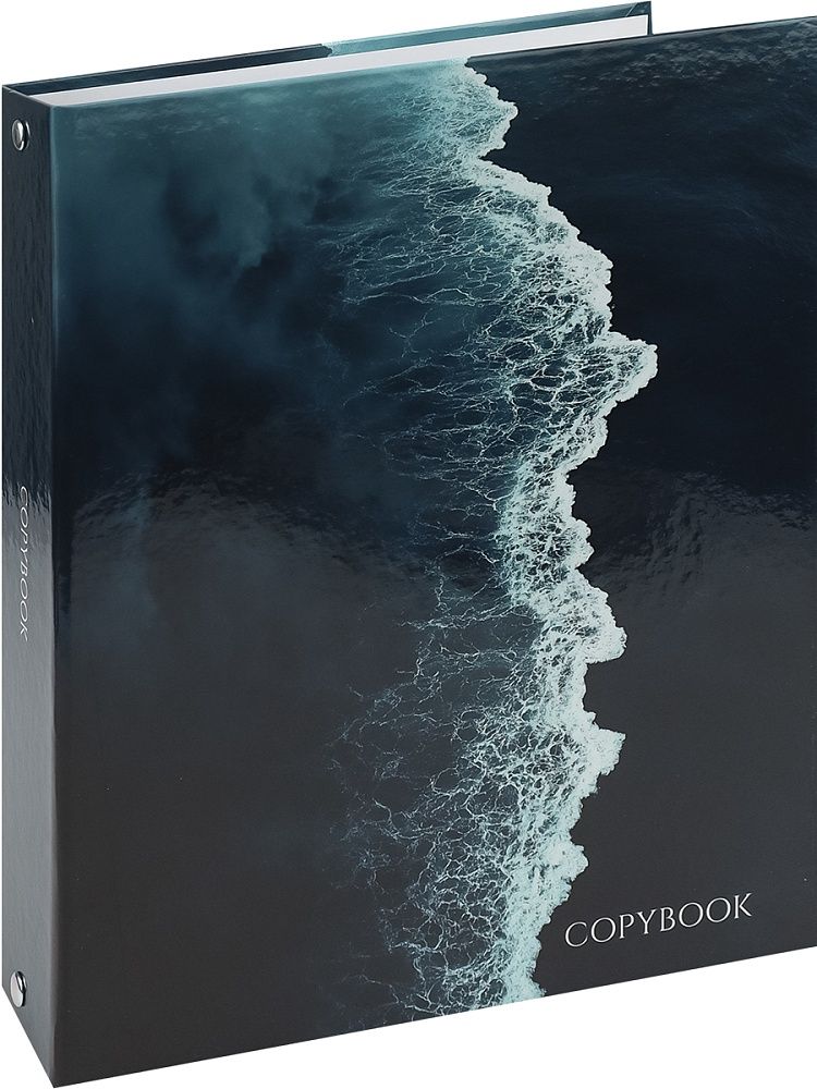 Тетрадь  А5 100л кл. на кольцах Проф-Пресс "Морские волны"