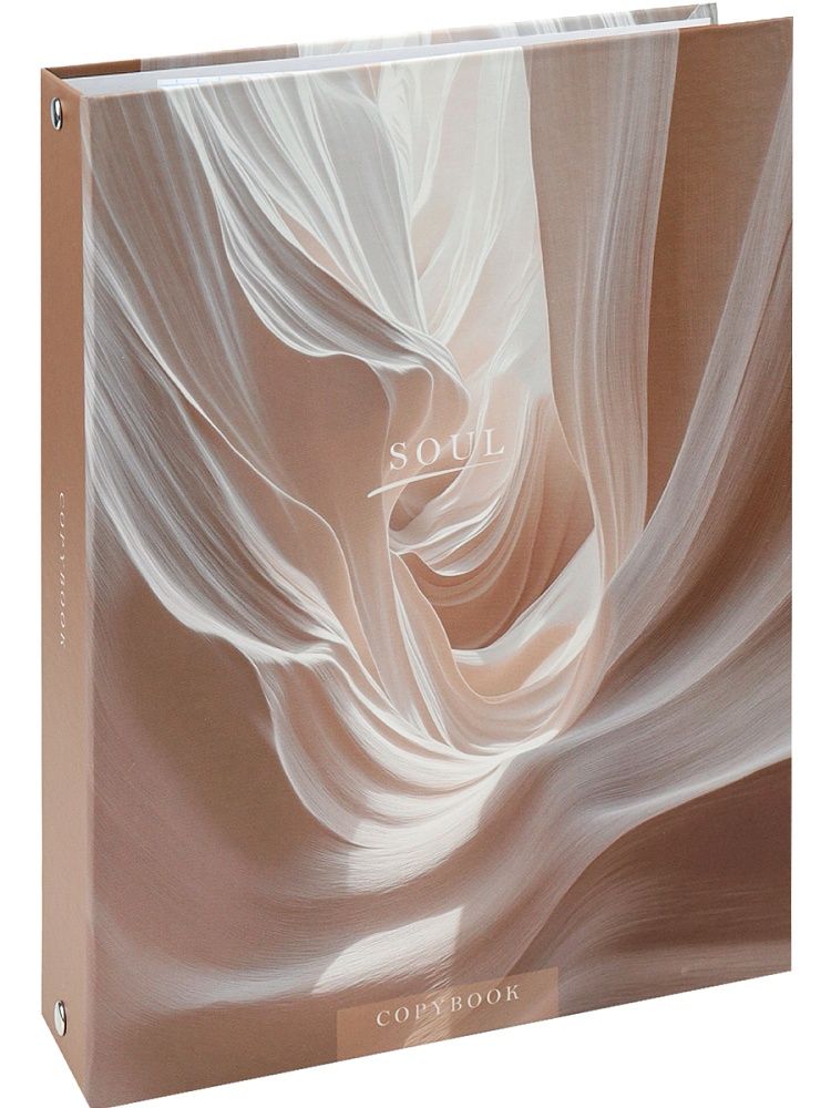 Тетрадь  А5 160л кл. на кольцах Проф-Пресс "Пастельный цвет"