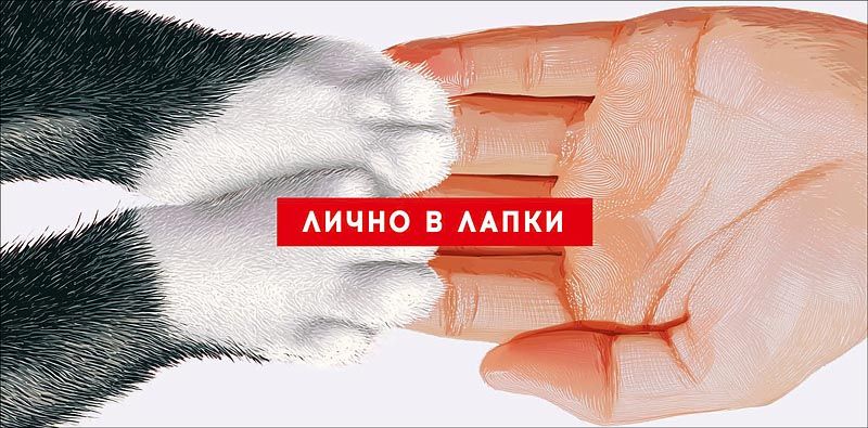 Конверт для денег "Лично в лапки"