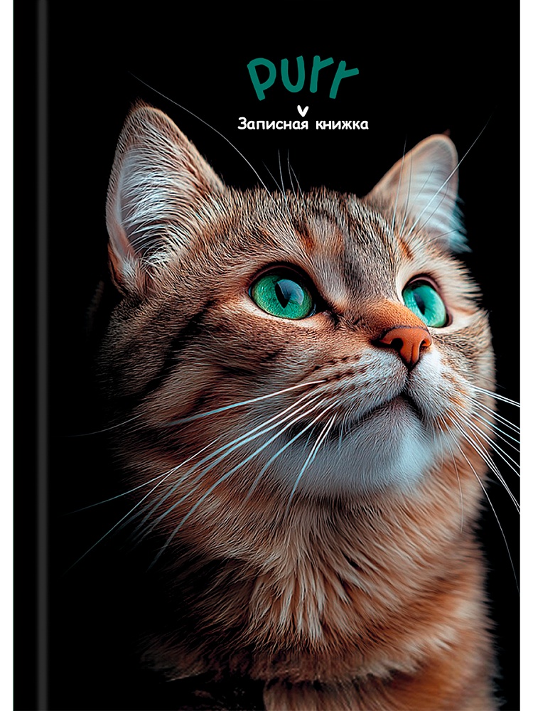 Блокнот А6 7БЦ 160л "Зеленоглазый котик - 2" клетка, глянц.лам., лен