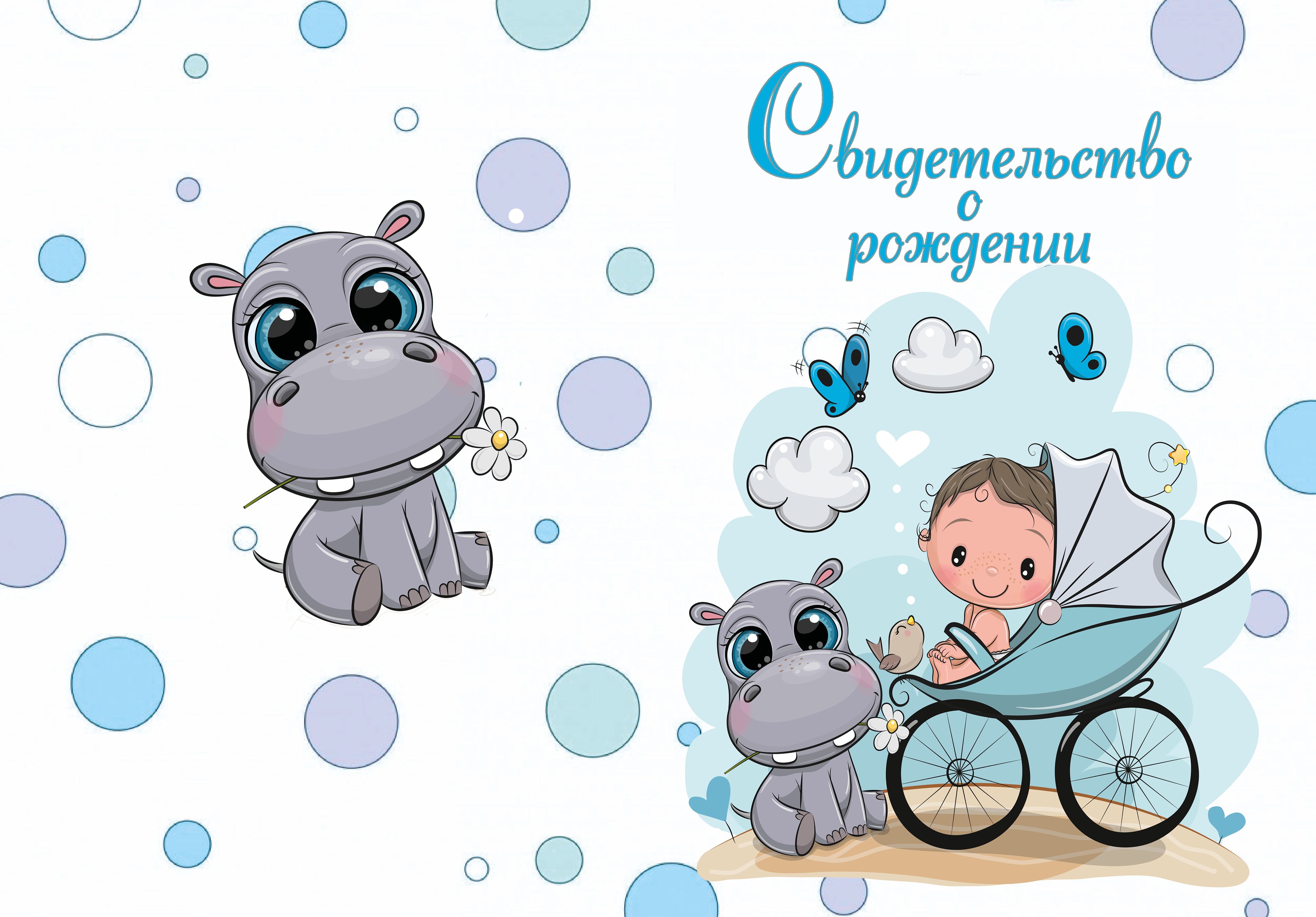 Папка Адресная А4 "Свидетельство о рождении. Коляска" для мальчика